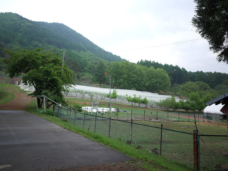 長野県の信州大学大室農場に見学に行きました！